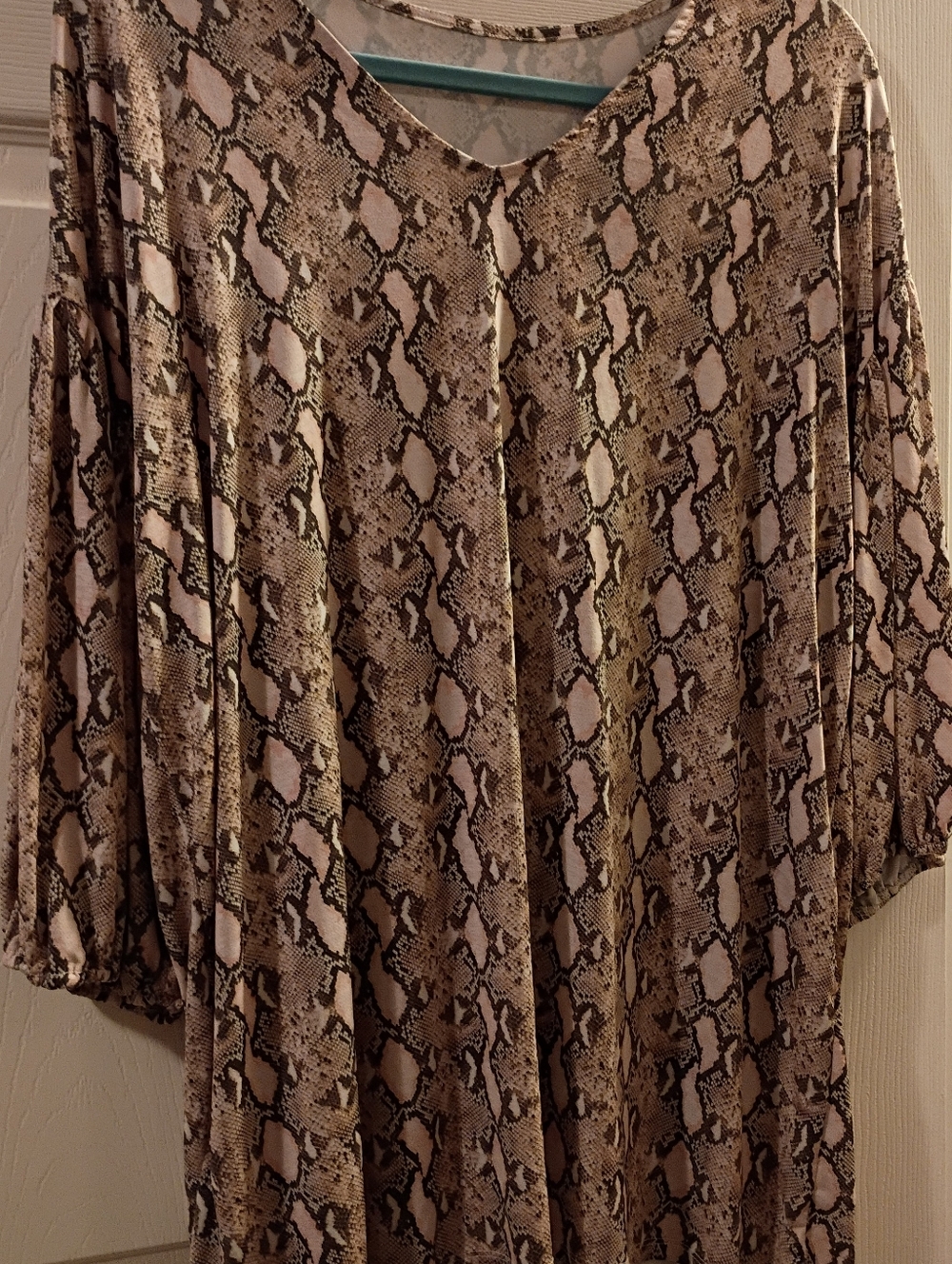 Neutral Snake Print V-Neck Tunic